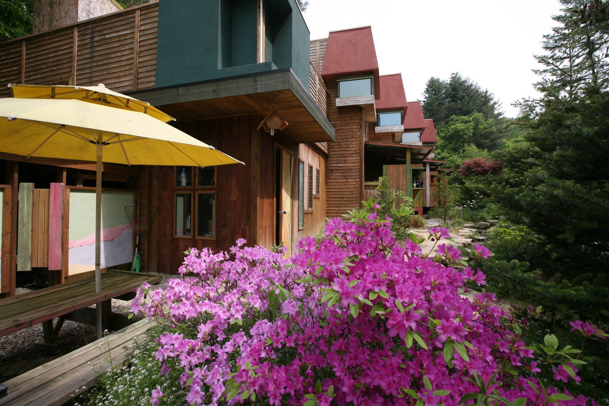 Hotel Passing By Forest Pyeongchang Exterior foto